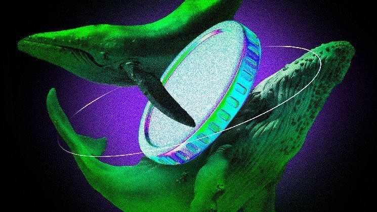 What Crypto Whales Are Buying Ahead of the December FOMC Meeting