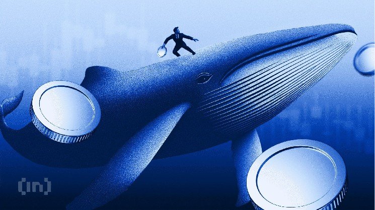 Ethereum Coinbase Premium Index Turns Negative, Raising Fears of Whale Panic Selling