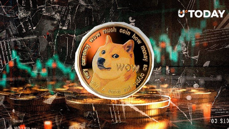 Dogecoin Millionaires Buy 480,000,000 DOGE in Just 48 Hours, Meme Coin Price Reacts With Twist