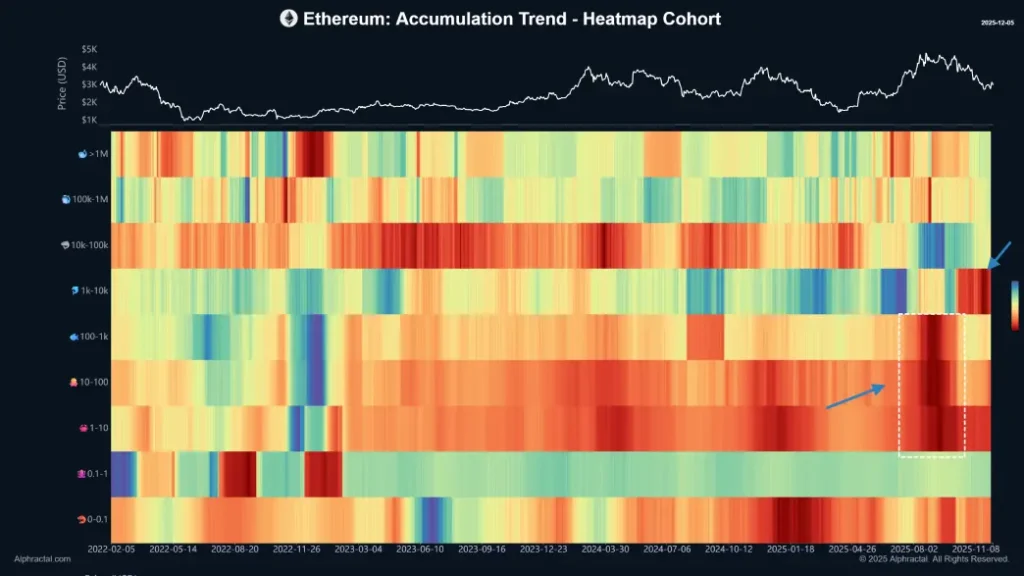 Ethereum Price Signals Bearish Reversal as 1K–10K ETH Wallets Keep Selling Ethereum Price Signals Bearish Reversal as 1K–10K ETH Wallets Keep Selling