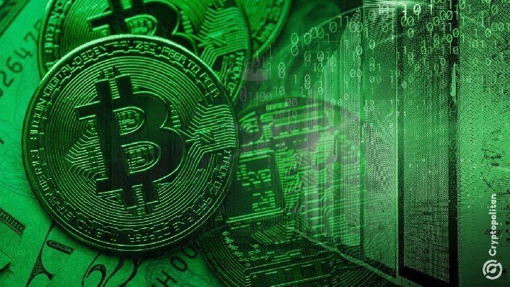 Crypto miners in Russia's Caucasus region continue operating, defying ban