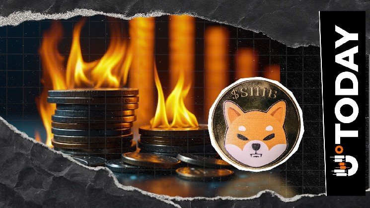 Shiba Inu Burn Rate Crashes Further 62% to New Lows, Now What?