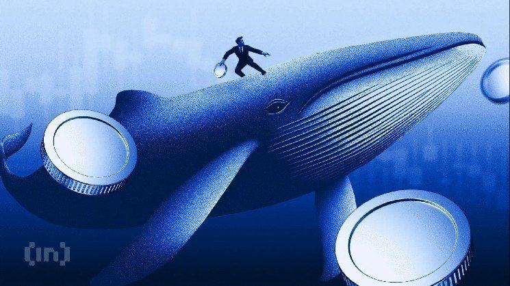 40% of Ethereum Supply Slips Into Loss as Whales Take Opposing Positions 40% of Ethereum Supply Slips Into Loss as Whales Take Opposing Positions