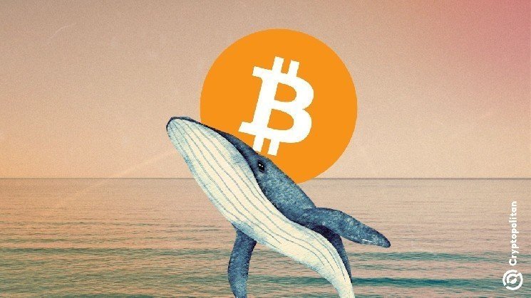 Bitcoin mining difficulty dips in first 2026 adjustment