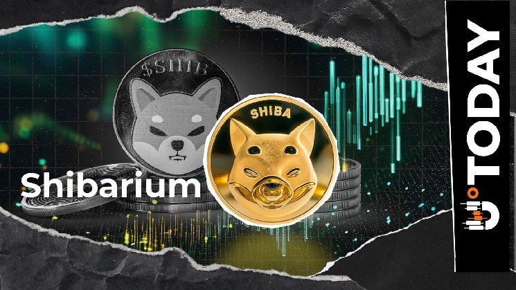 Shiba Inu Ecosystem Celebrates First Anniversary of Shibarium-Based Token Shiba Inu Ecosystem Celebrates First Anniversary of Shibarium-Based Token