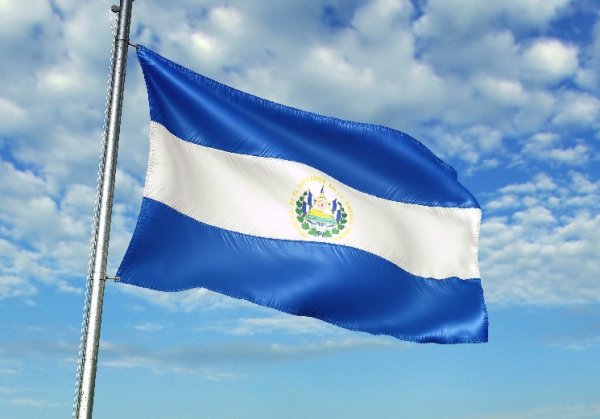El Salvador's central bank buys $50 million of gold as government keeps adding bitcoin El Salvador's central bank buys $50 million of gold as government keeps adding bitcoin