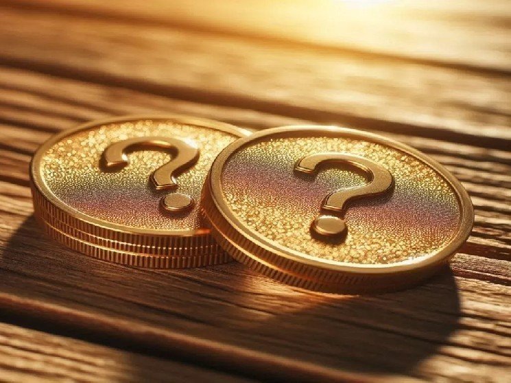 BNB Developers Announce Investment in Two Different Altcoins