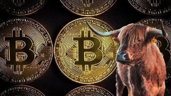 Are We Hearing the Footsteps of a Bull in Bitcoin? Analysis Company Shares Critical Data
