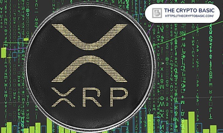 More Money in XRP Than in Your Bank Account, &ldquo;You&rsquo;re a Genius&rdquo;