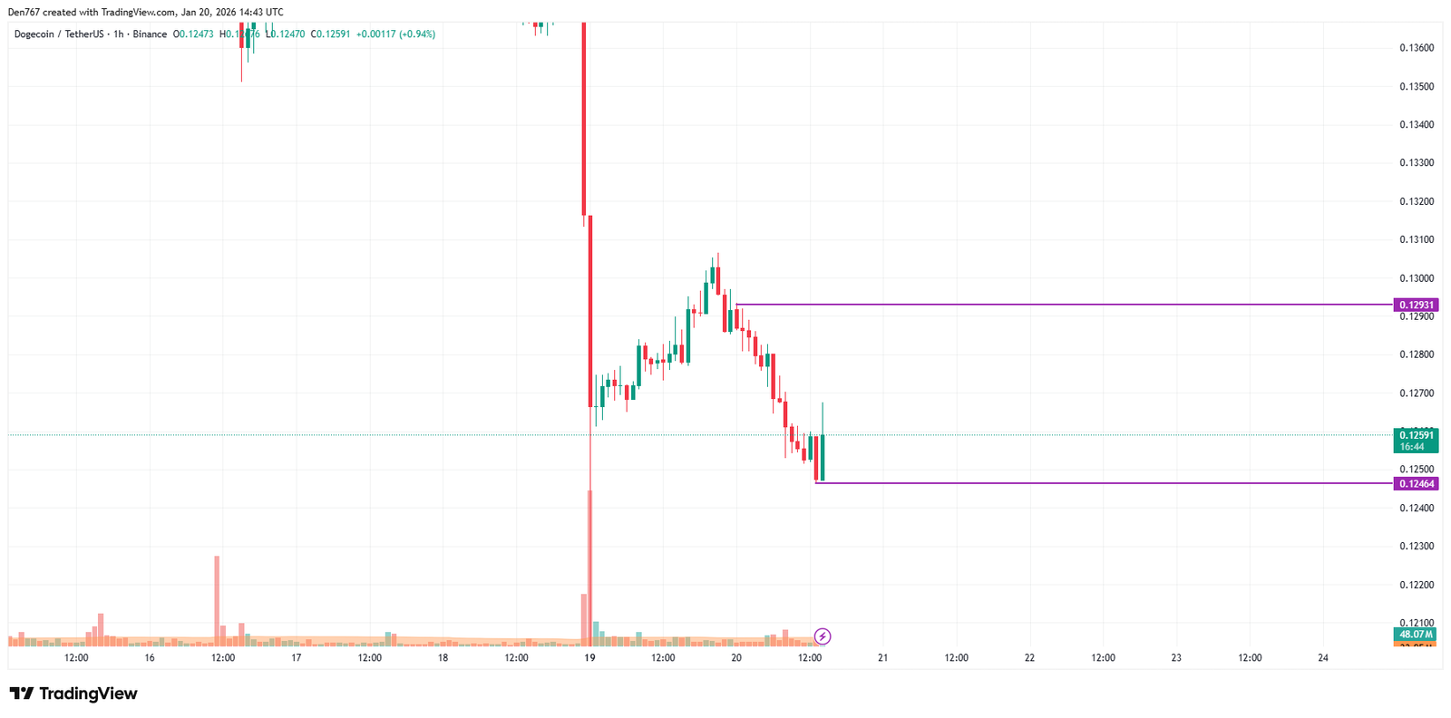 DOGE Price Analysis for January 20