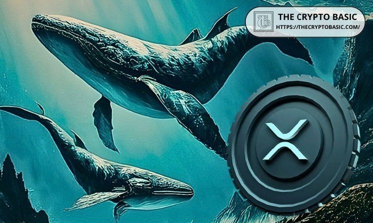 XRP Whale and Retail Wallets Have Accumulated $1B+ in XRP Since 2026 Started