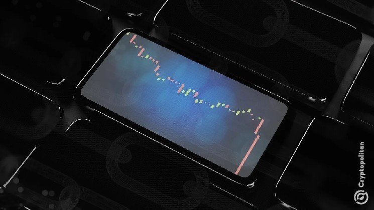 Low rug-pull count masks crypto&rsquo;s most expensive year