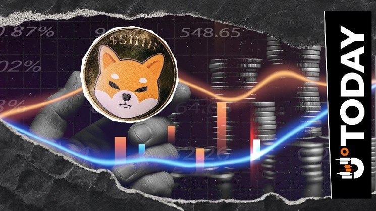 SHIB Team Pushes Back on Fears, Says Shiba Inu Cycle Is Not Over SHIB Team Pushes Back on Fears, Says Shiba Inu Cycle Is Not Over