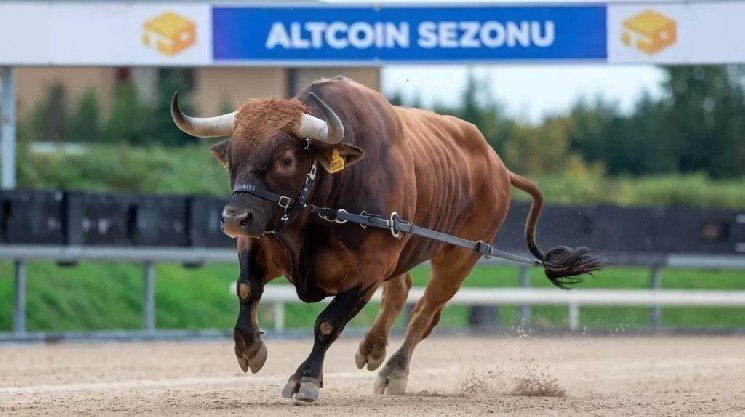 Attention Investors Awaiting Altcoin Season: Are Altcoin Rally Expectations Over? Analysis Company Announces 2026 Forecast!