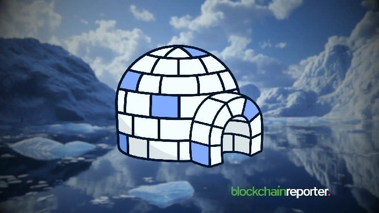 PENGU and APE Dominate NFT Social Engagement as Community Activity Indicates Market Strength