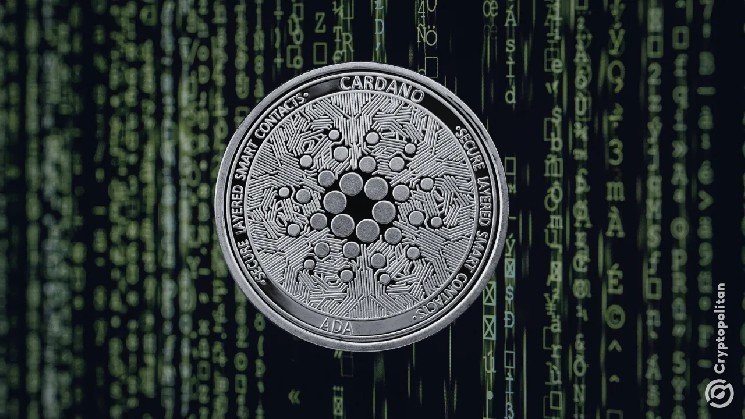 Researchers expose phishing campaign targeting Cardano users