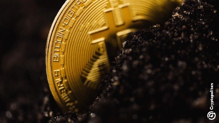 Russian authorities ground mobile crypto mining farm running on stolen power