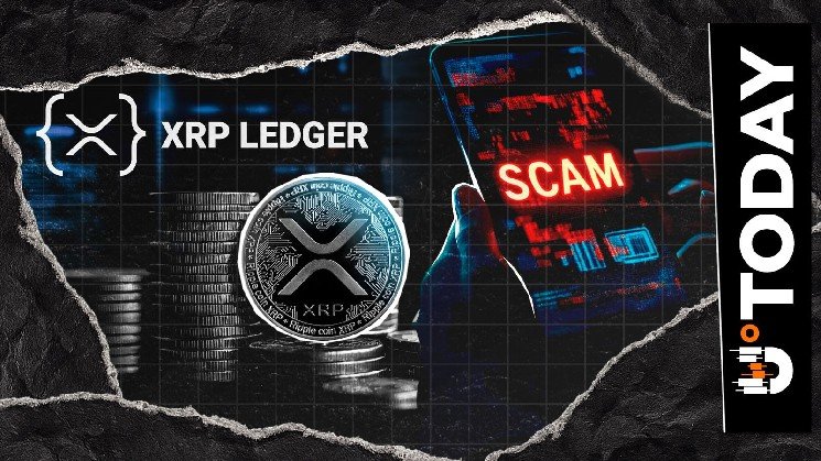 Protect Your XRP: 6 New Phishing Tactics Identified by XRPL Contributor Wietse Wind