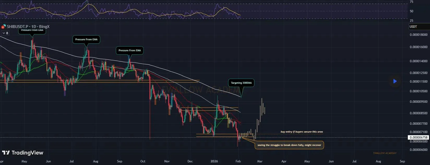 Shiba Inu Holds Key Support as Accumulation Signals Emerge
