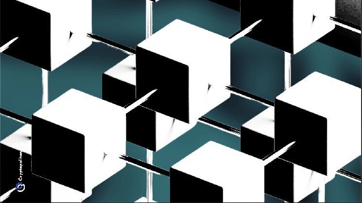 Arweave dismisses rumors that claim the network stopped producing blocks for over 24 hours Arweave dismisses rumors that claim the network stopped producing blocks for over 24 hours