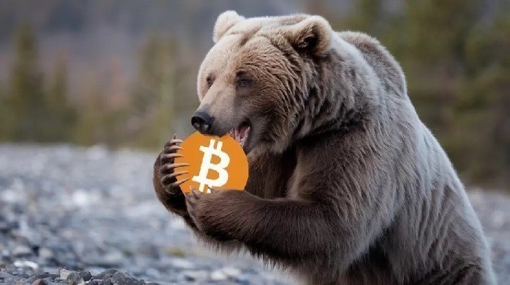 Bitwise CIO Shares What&rsquo;s Needed for Bitcoin and Altcoins to Exit the Bear Market