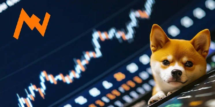 Shiba Inu Holds Key Support as Accumulation Signals Emerge