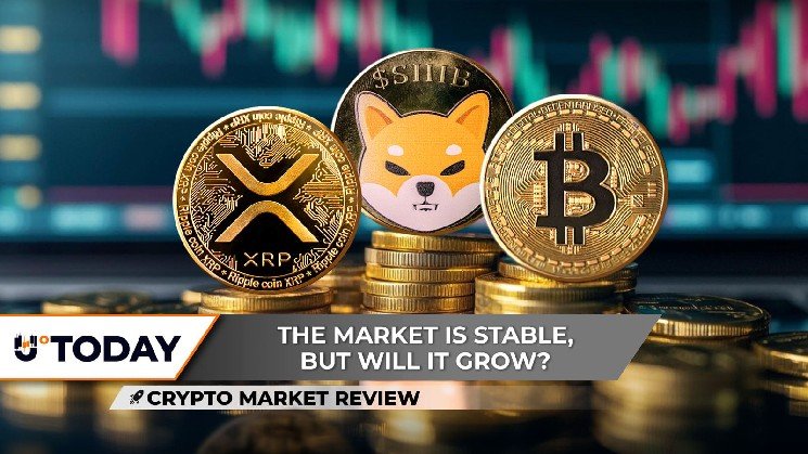 Crypto Market Review: XRP's Double Bottom Could Be Key, Bitcoin Is Literally on the Edge, Shiba Inu (SHIB) Price Is Trapped Now