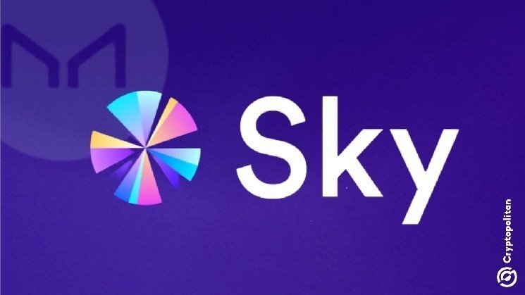 Sky Protocol became one of the top fee producers for 2025, with $338M in revenues