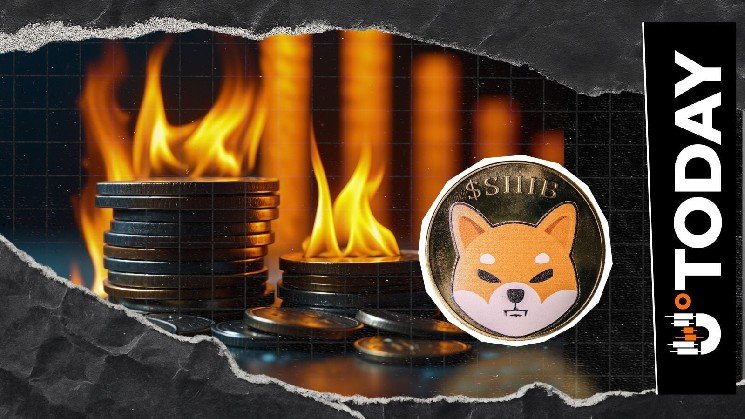 Shiba Inu Burn Rate Hits Multiweek Low as Network Activity Falls