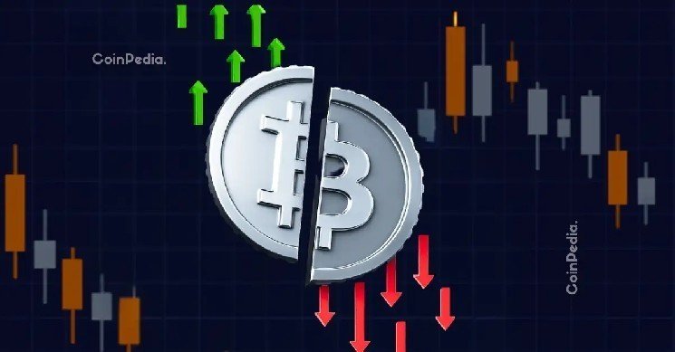 Why Is the Crypto Market Crashing Today? Why Is the Crypto Market Crashing Today?