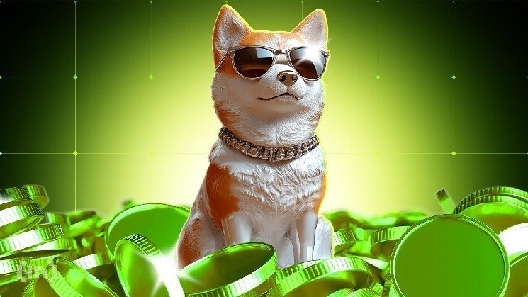 Are Dogecoin Holders Looking to Buy More After 16% Crash?