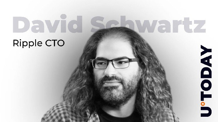 Ripple's Schwartz: XRP Has No Issuer Ripple's Schwartz: XRP Has No Issuer