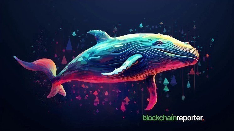 $PUMP Whale Withdraws $14.56M Tokens From Exchanges in 10 Days