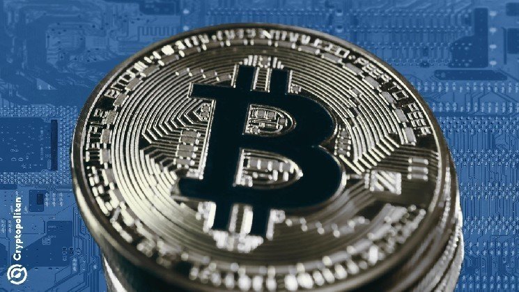 Bitcoin miners turn to AI as halving and energy costs crush profits