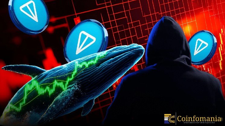 Whale Loses $220K TON &hellip; Scammer RETURNS Most of It?