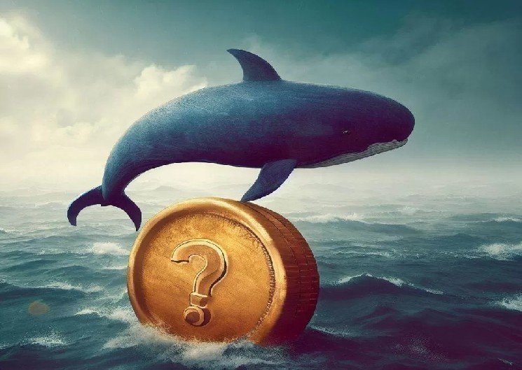 An Altcoin Became a Target for Whales: They Sold, Driving the Price Down