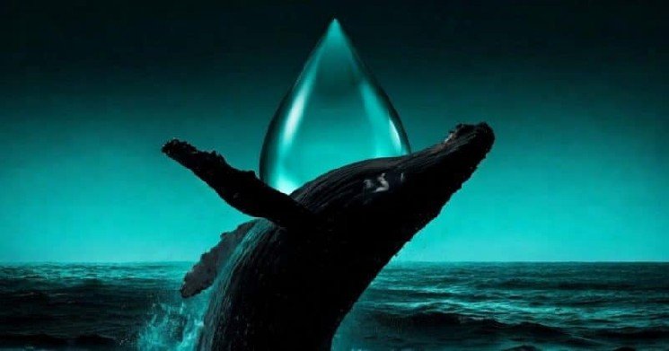 Hyperliquid trader goes all in on oil and gets liquidated in under 40 minutes