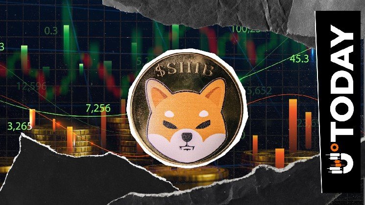 Shiba Inu (SHIB) Sees Shorts Exit in 4 Hours While Price Eyes Recovery