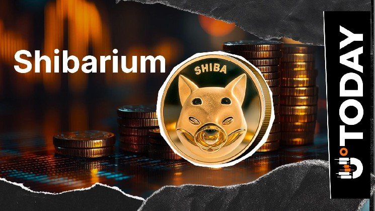Shiba Inu: Shibarium Transactions Plunge 88%, What's Behind It? Shiba Inu: Shibarium Transactions Plunge 88%, What's Behind It?