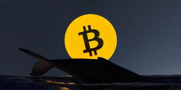 Investor Who Bought Bitcoin at a Low Price 13 Years Ago Transfers 500 BTC to Binance! Here Are the Details Investor Who Bought Bitcoin at a Low Price 13 Years Ago Transfers 500 BTC to Binance! Here Are the Details