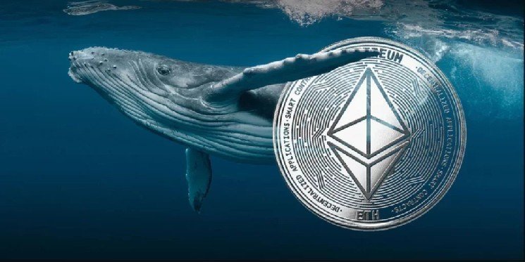 The Whale Who Sold All His Ethereum a Year Ago Has Started Buying ETH Again! Here Are the Details