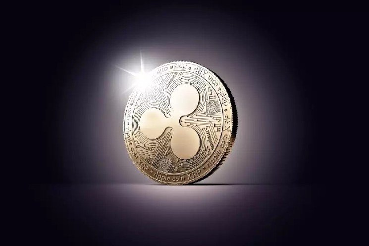Evernorth Reports Significant Losses in XRP Holdings: Will Now Adopt a Different Strategy Evernorth Reports Significant Losses in XRP Holdings: Will Now Adopt a Different Strategy