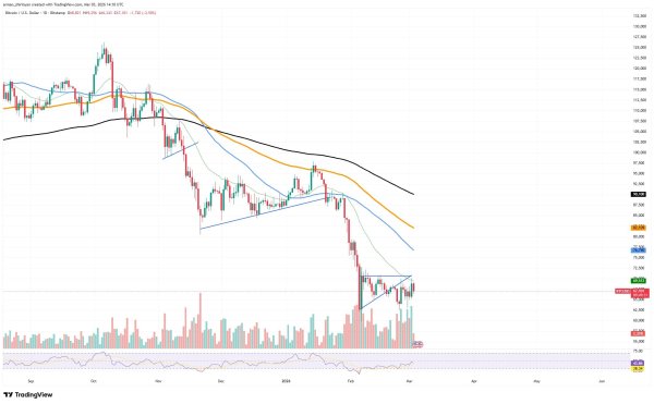Crypto Market Review: One Shiba Inu (SHIB) Fail After Another, Will XRP's Price Slide Toward $1.60? Bitcoin (BTC) $70,000 Breakout Is Still Possible