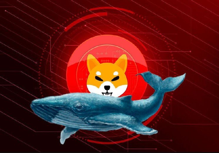 Shiba Inu Whale Gives In After 2 Years, Dumps 14.5B SHIB at 83% Loss Shiba Inu Whale Gives In After 2 Years, Dumps 14.5B SHIB at 83% Loss