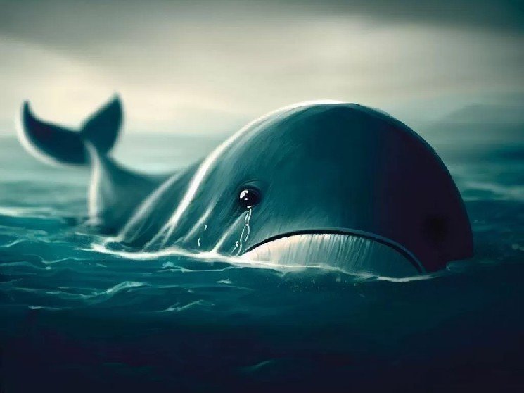 The Identity of the Mysterious Altcoin Whale Who Made a Huge $50 Million Mistake May Be Revealed! There’s a Bitcoin Connection! The Identity of the Mysterious Altcoin Whale Who Made a Huge $50 Million Mistake May Be Revealed! There’s a Bitcoin Connection!