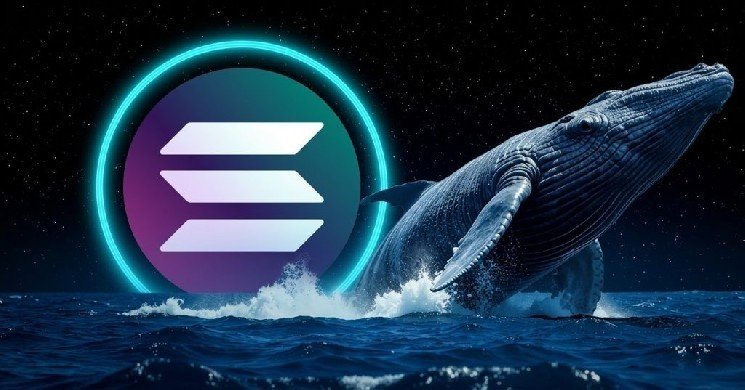 Unusual Data in Solana (SOL) On-Chain Charts &ndash; Whales Have Changed Their Behavior