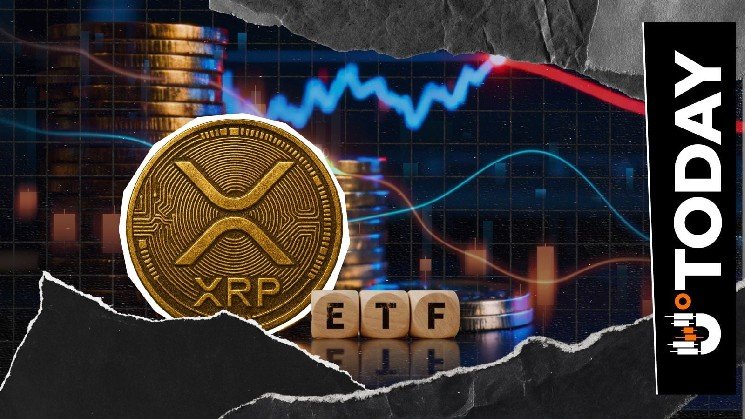 XRP Breaks Positive Weekly Trend With $3.56 Million in Withdrawals