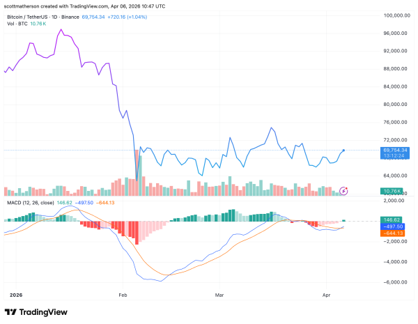 Analyst Reveals How To Trade The Bitcoin Cycle, Predicts When Price Will Hit $215,000 Analyst Reveals How To Trade The Bitcoin Cycle, Predicts When Price Will Hit $215,000