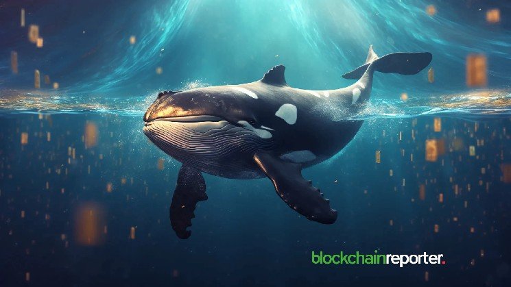 Chainlink Whales Pull $4.67M in LINK from Binance in Fresh Accumulation Move