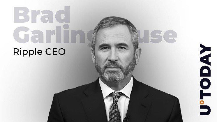 Ripple CEO Celebrates 11 Years at Company Ripple CEO Celebrates 11 Years at Company